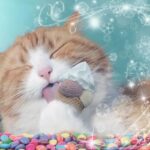 식탐냥이 아침밥을 남긴 이유가 알고 보니…’그럼 그렇지’