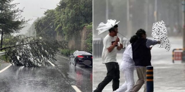 관측 사상 제일 ‘뜨거운 바다’…올여름 한반도에 ‘괴물태풍’ 상륙한다