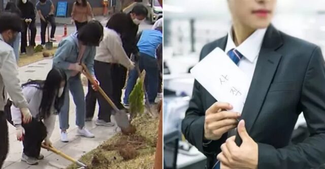MZ 공무원 이탈 막겠다고 ‘나무 심기’했던 춘천시…‘퇴사 엔딩’ 맞았다