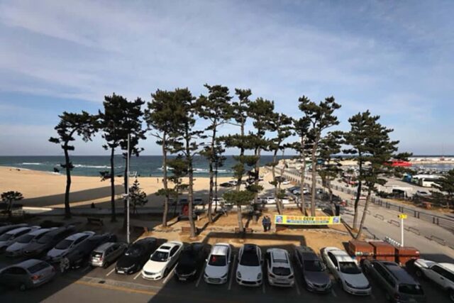 바닷가 앞에 주차해 두고 라면 끓여먹는 낭만? 이제 전부 벌금행!!