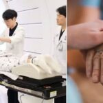 7000만원 비용에도 하루 문의 200통…암세포만 골라 죽이는 ‘꿈의 암 치료’ 시작