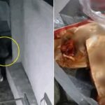 주변 살피더니 ‘슬쩍’…남의 집 앞에 먹다남은 ‘치킨·감튀’ 버리고 튄 남성 (영상)