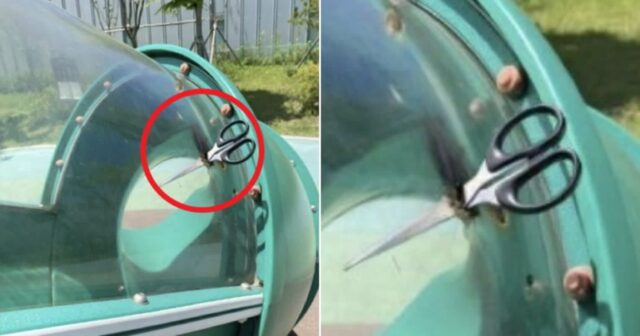 어린이 놀이터 미끄럼틀에 커다란 가위 꽂고 사라진 범인의 정체