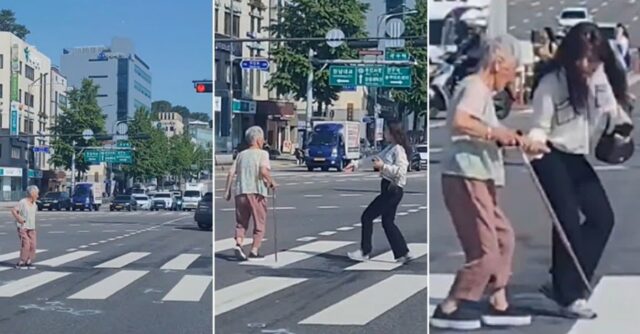 약수역 횡단보도 한복판에 고립된 어르신 구하러 달려온 여성…손 꼭 잡고 길 건넜다 (영상)