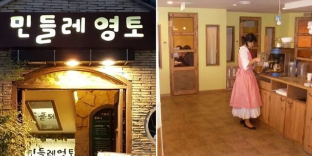 5000원이면 3시간 동안 머물 수 있어 90년대생의 ‘아지트’로 불렸던 추억의 ‘민들레영토’