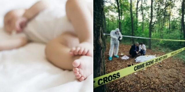 오픈채팅방에서 ‘불법입양’한 신생아 2주만에 숨지자 ‘암매장’한 동거남녀