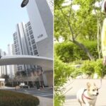 “외부인 개 출입금지”…입주민 반려동물 인식표까지 만든 ‘30억’ 강남 개포자이