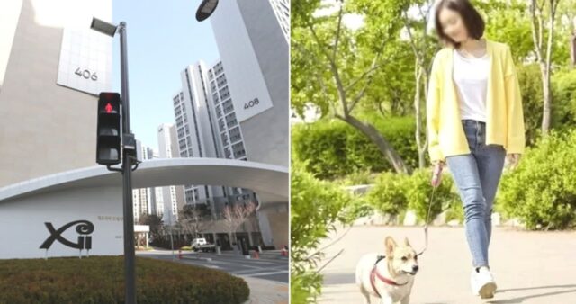 “외부인 개 출입금지”…입주민 반려동물 인식표까지 만든 ‘30억’ 강남 개포자이