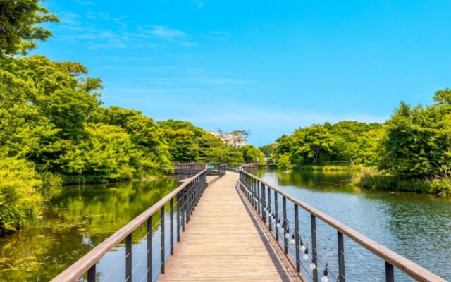 제주도 6월 동쪽 여행코스 가볼만한곳 best 5