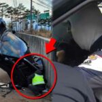 “설마 진짜 급발진?” 국내 최초 재연 시험 결과 심상치 않다