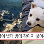 “템플스테이 왔는데 스님이 ‘시고르자브종’ 강아지 넣어줬어요”… 복지 미쳐버린 절