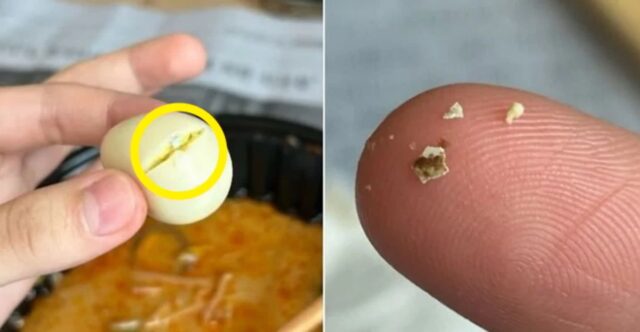 “메추리알 껍데기 나왔다고 ‘전체 환불’ 요구한 단골 손님…너무합니다”