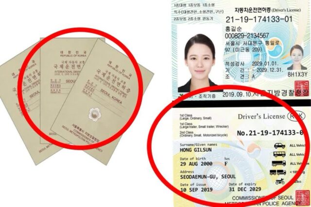 “해외여행 가서 운전하려는데… 이게 되네?” 국제 면허증 없이도 운전 가능한 해외 국가