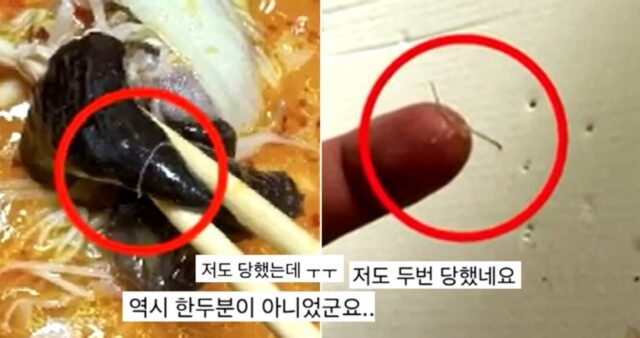 부산 경찰들도 경악했다…‘배달 거지’ 커플이 음식 환불 받은 수법 (영상)