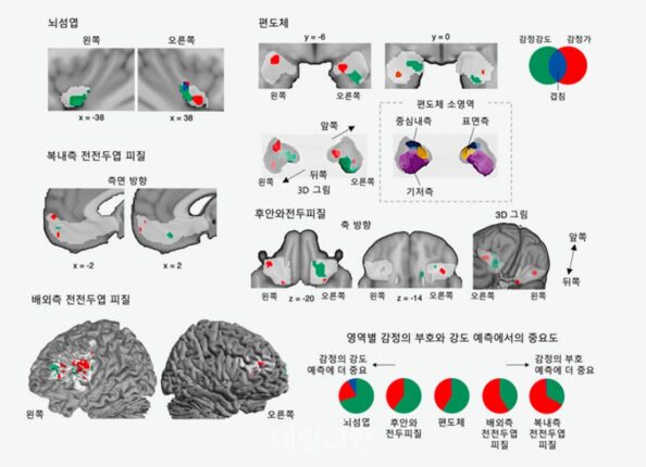 기초연, 통증과 쾌락의 뇌 속 ‘교차점’ 발견