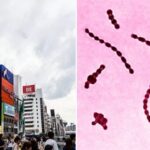“올 여름, 일본 여행가도 되나요?”…역대급 ‘치사율’로 난리난 감염병 유행 시작