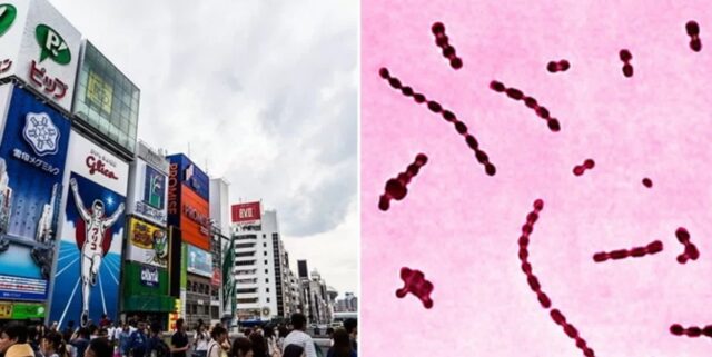 “올 여름, 일본 여행가도 되나요?”…역대급 ‘치사율’로 난리난 감염병 유행 시작