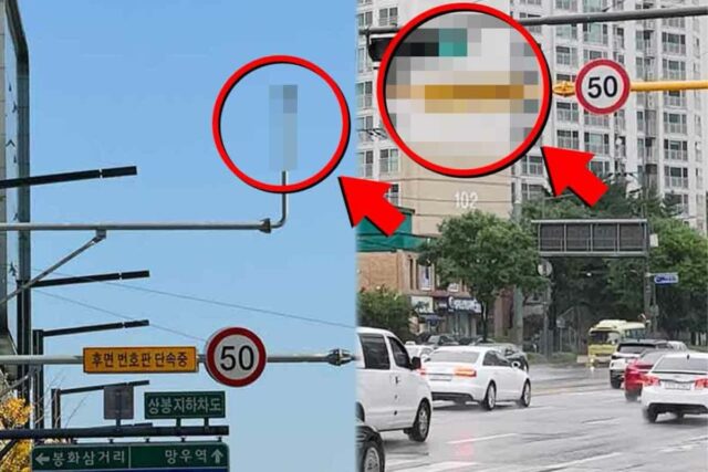 “아니, 왜 걸렸지?” 분명 속력 줄였는데 과태료 14만 원