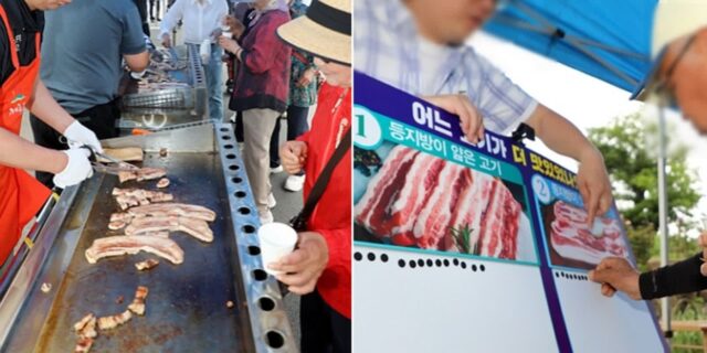 비계 삼겹살 팔더니 신뢰 회복하려 ‘돼지고기 시식회’ 연 제주양돈농협
