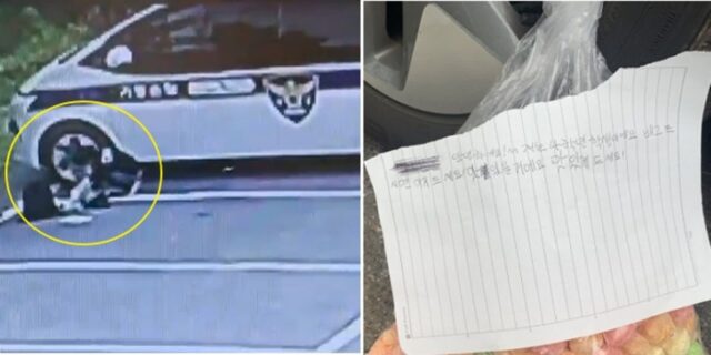 순찰차 옆에 수상한(?) 비닐봉지 놓고 도망간 초등생 경찰이 수소문해 찾아낸 이유