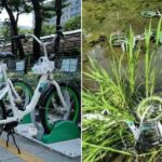 하천에 따릉이 ‘27대’ 집어 던진 20대 남성…‘차 한대 값’ 물어주게 생겼다