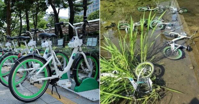 하천에 따릉이 ‘27대’ 집어 던진 20대 남성…‘차 한대 값’ 물어주게 생겼다