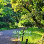 제주도 수목원 걷기 좋은 길 제주 한라수목원