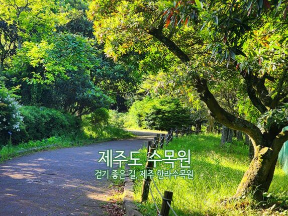 제주도 수목원 걷기 좋은 길 제주 한라수목원