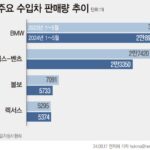 테슬라 제외 판매량 따져보니…수입차 두자릿수 판매 감소