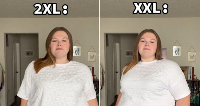 “XXL, 2XL는 사실 다른 사이즈”…차이 실제로 확인해봤더니 (영상)