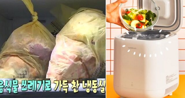 자취생들이 냉동실에 얼리던 ‘음쓰’ 깔끔하게 처리해주는 락앤락 미니 음식물쓰레기냉장고