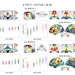 IBS, 시상·대뇌피질 연결성이 두뇌 발달에 미치는 영향 규명