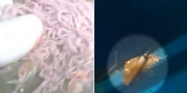 “소변 본 하수구에서 건지고 발로 빤다”…중국 ‘훠궈재료’ 공장의 충격적 위생상태