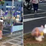 “제주도 놀러온 중국 관광객이 길거리에서 자기 아이에게 ‘대변’을 보게 했습니다” (영상)