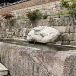 ‘슬리퍼·반바지·사진 금지’ 600년 만에 공개된 보물의 정체