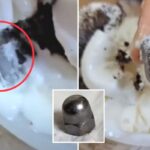 “어린 딸이 먹던 대기업 아이스크림에서 2cm 길이 ‘너트’가 발견됐습니다”