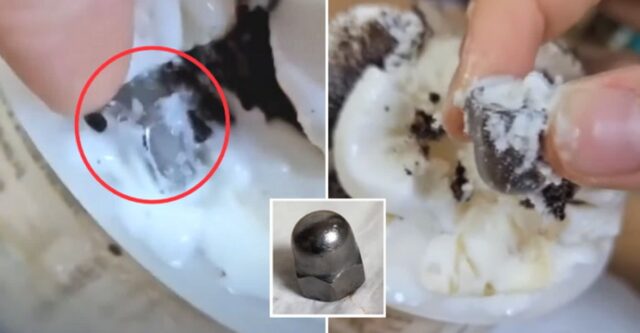 “어린 딸이 먹던 대기업 아이스크림에서 2cm 길이 ‘너트’가 발견됐습니다”