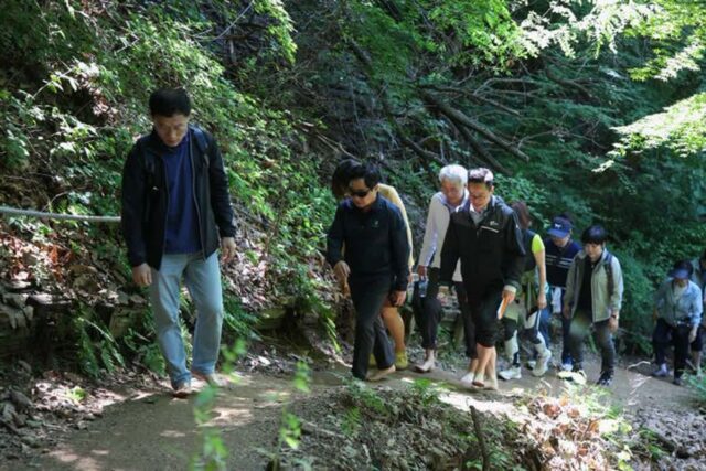 남양주시, ‘맨발걷기 좋은 숲길’ 정비사업 착수