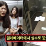 ‘급똥’ 못참고 엘베서 대참사 저지른 부산 한 대학생…1열 직관 목격자 등장