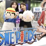 더현대 서울, ‘원피스 애니메이션 25주년 기념’ 팝업스토어 오픈