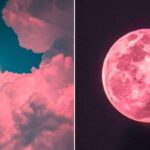 이번 주 토요일(22일) 보름달 ‘스트로베리 문’ 뜬다…“소원 미리 준비하세요”