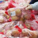 정부, 여름철 수급 불안 대비 농산물 2.8만t 확보…과일 수입 4만t 추가