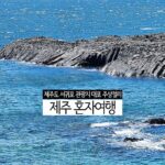 제주도 서귀포 관광지 대포 주상절리 제주 혼자여행