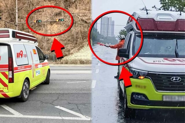 “저건 욕하면 안 돼” 신호위반·과속·역주행 해도 경찰 단속 안 한다!