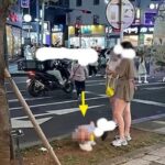 중국 현지에도 전해진 ‘제주 똥테러’ 논란…중국인들이 보인 실제 반응