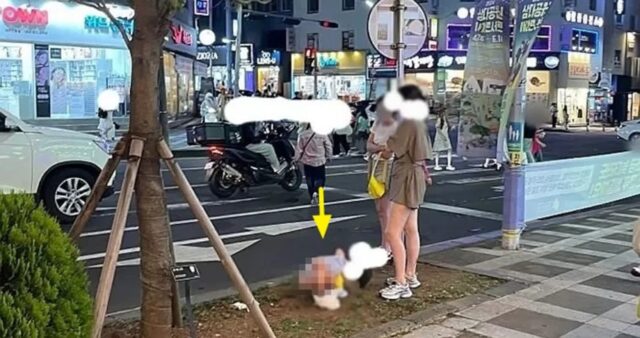 중국 현지에도 전해진 ‘제주 똥테러’ 논란…중국인들이 보인 실제 반응