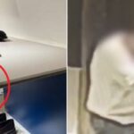 1년 1억 넘게 쓰는 VIP…해외 명품 브랜드·백화점 대표 형사 고소 (영상)