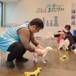 대웅펫, 지난 15일 강동 리본센터서 유기 동물 위한 봉사활동 진행