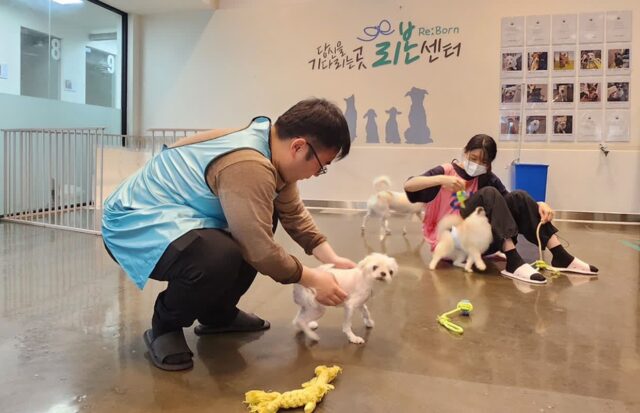 대웅펫, 지난 15일 강동 리본센터서 유기 동물 위한 봉사활동 진행