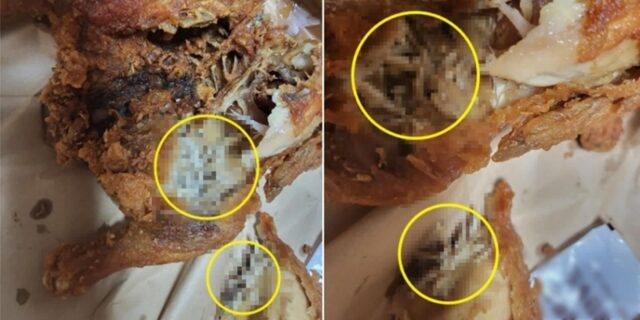 “다리 잡아떼니 하얀 덩어리들이 우수수”…부산 한 24시 치킨집서 판매된 ‘구더기’ 통닭